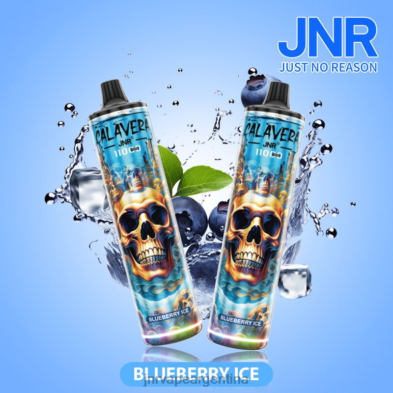 JNR Vape Argentina | hielo de arándanos jnr calavera R08PX292