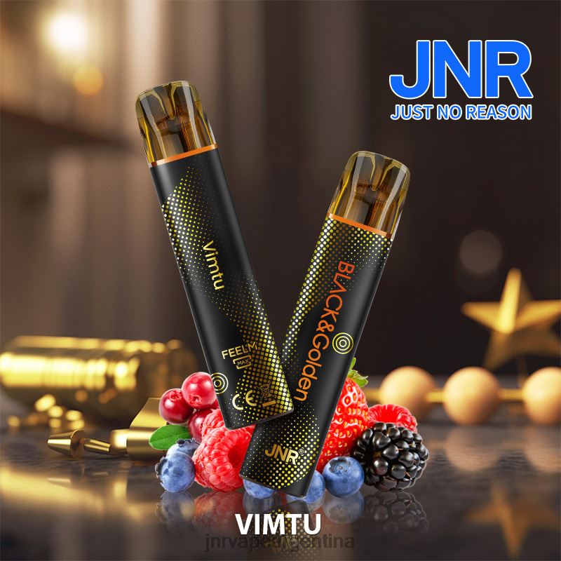 JNR Vape Shop | vimtu jnr negro y dorado R08PX286