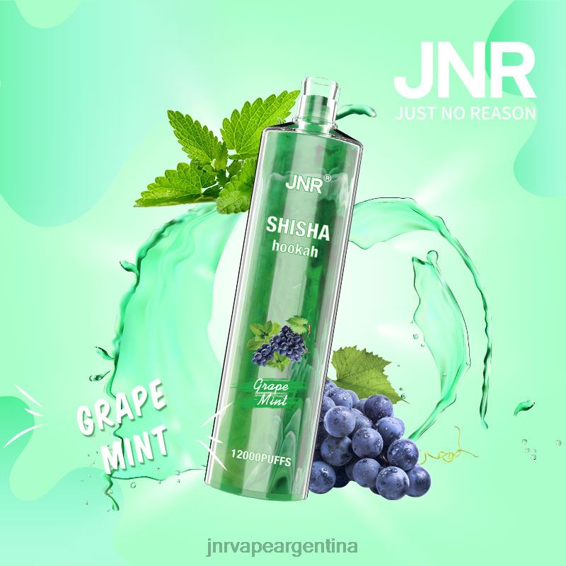 JNR Vape Price | menta de uva shisha jnr R08PX171