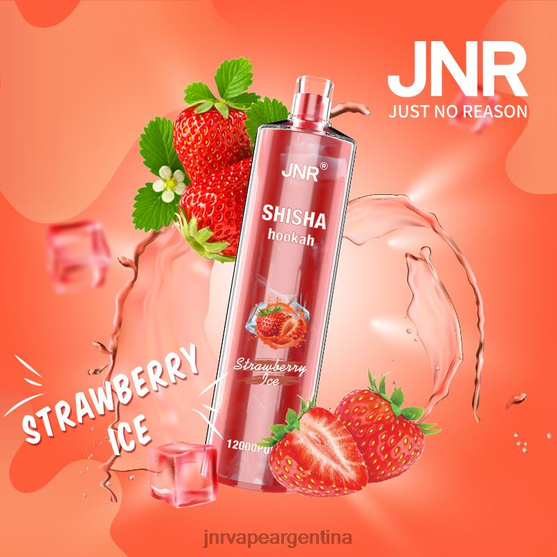 JNR Vape Shop | hielo de fresa shisha jnr R08PX176