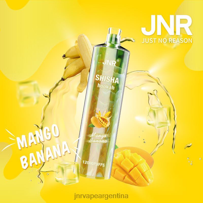 JNR Vapes Factory | plátano mango shisha jnr R08PX165